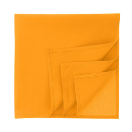 Бандана GOAL-S