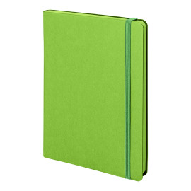 Бизнес-блокнот RILY, формат А5,  зеленое яблоко, блок в точку