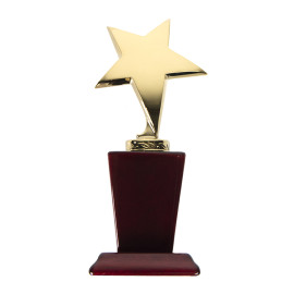 Стела  Звезда