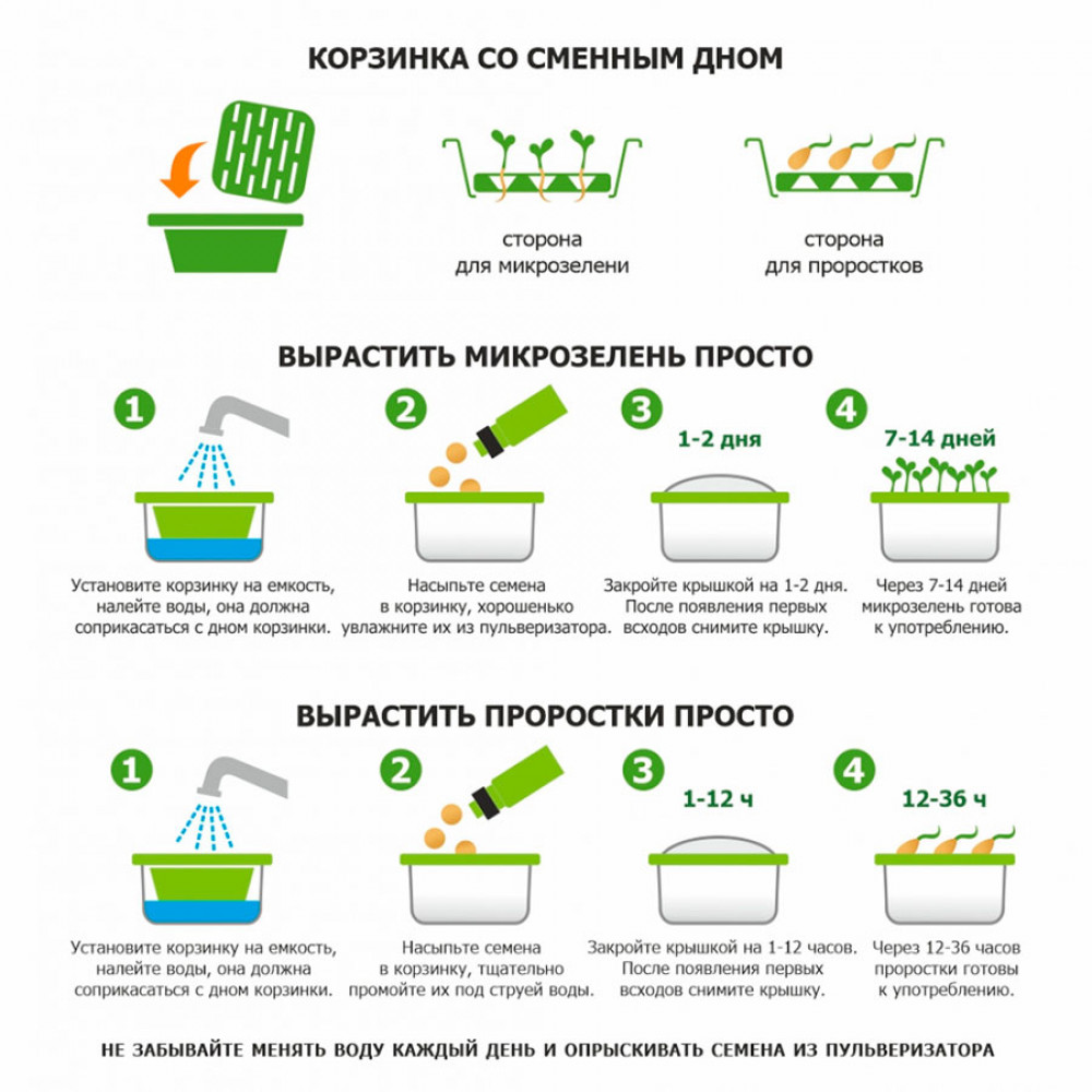 Подарочный набор для проращивания микрозелени: проращиватель, семена мицуны