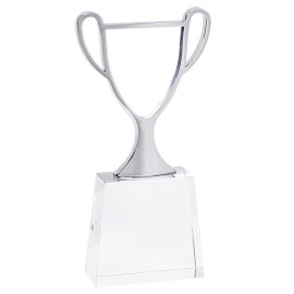 Стела  Чемпион в подарочной упаковке