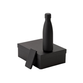 Подарочный набор с термобутылкой и повербанком С2, черный