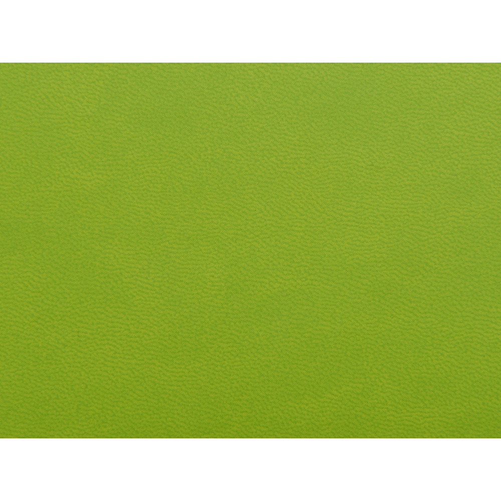 Блокнот А6 Riner, зеленое яблоко