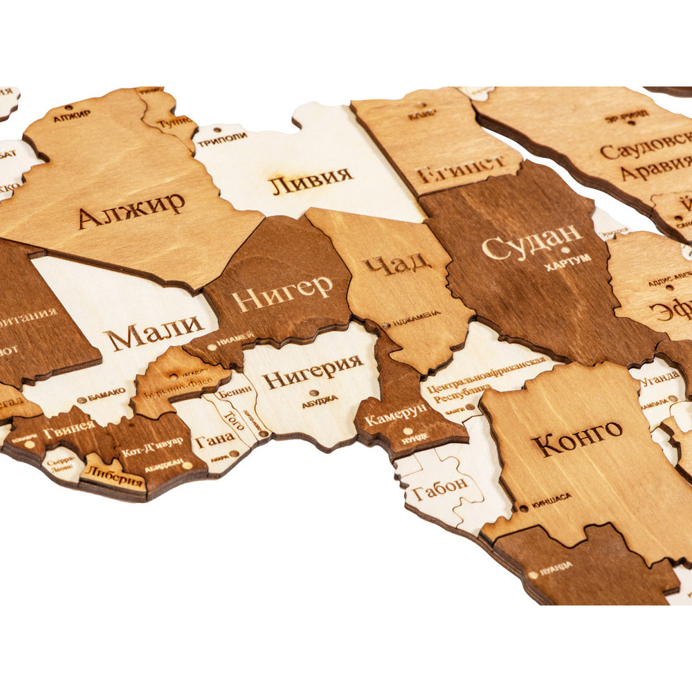 Интерьерная карта мира World