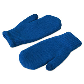 Варежки Dunant, классический синий