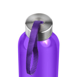 Бутылка для воды VERONA PET COLOR 550мл